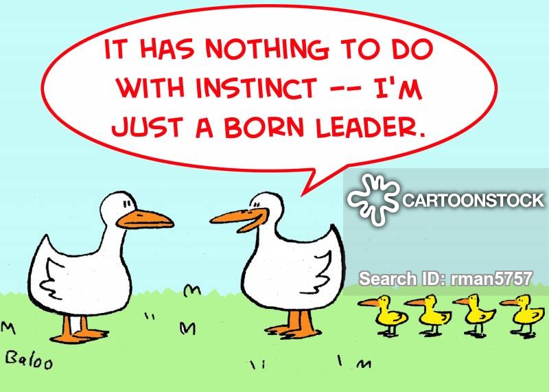 'It has nothing to do with instinct -- I'm just a born leader!'